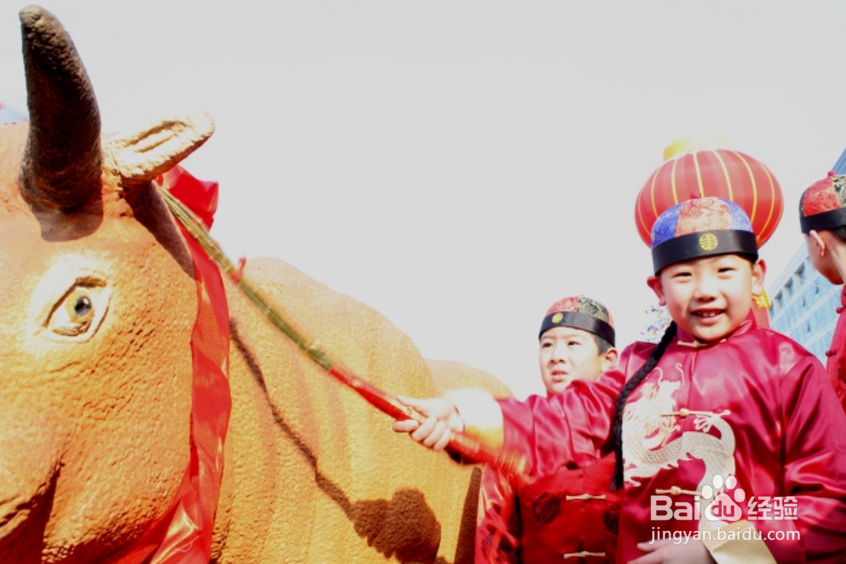 二十四节气之立春