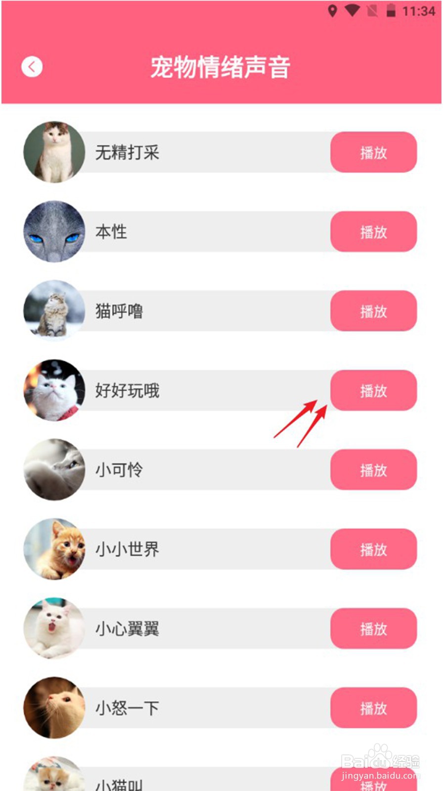 怎么判断猫咪的心情