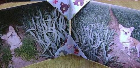 折纸手工相框的制作方法