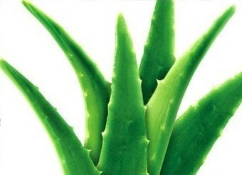 夏季晒后快速美白方法