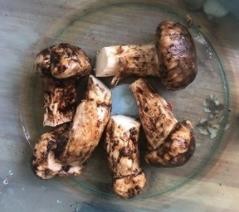 赤松茸怎么洗更干净