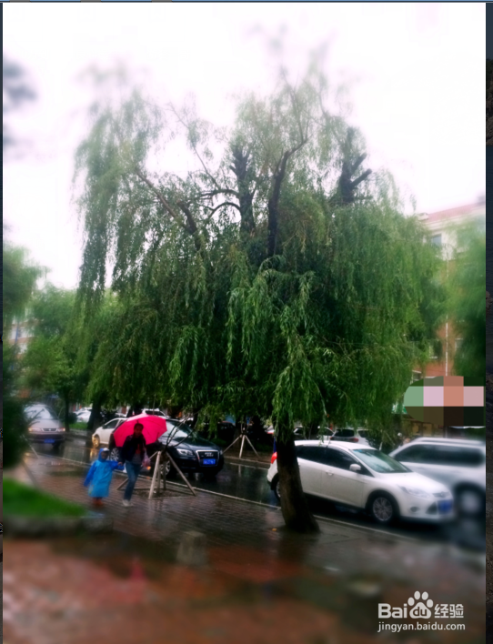 秋天下雨出门应该提前做哪些准备