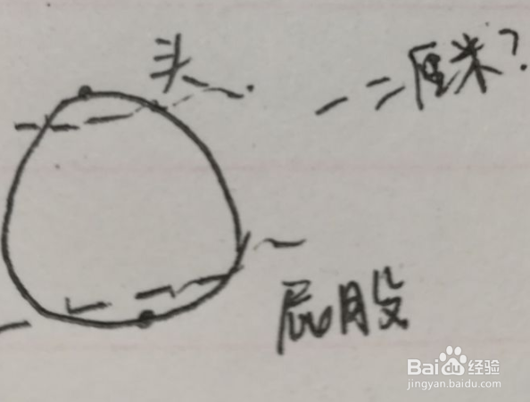 葡萄柚怎么剥方便