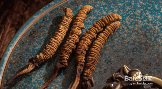 冬虫夏草价格表