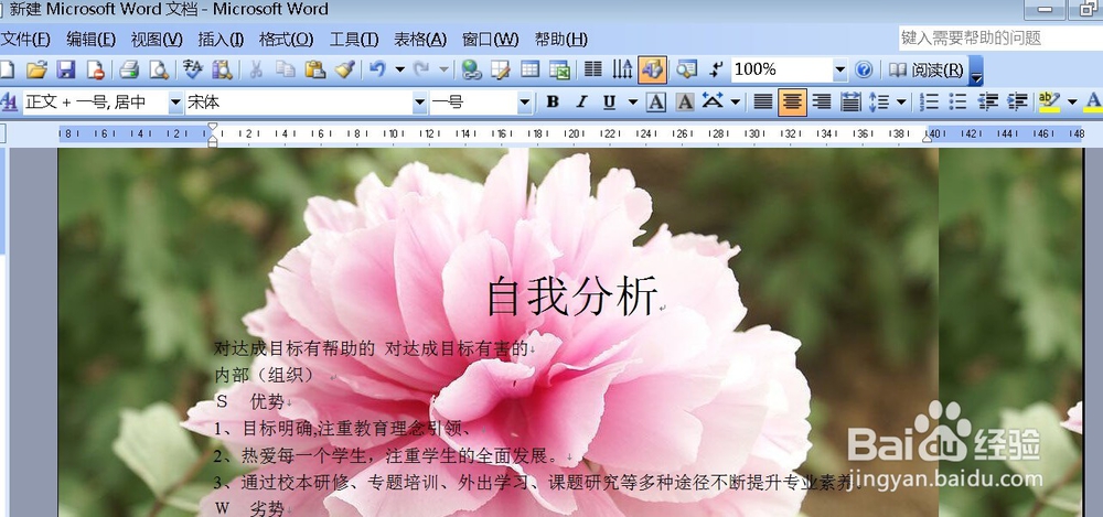 word文档怎样插入个性背景