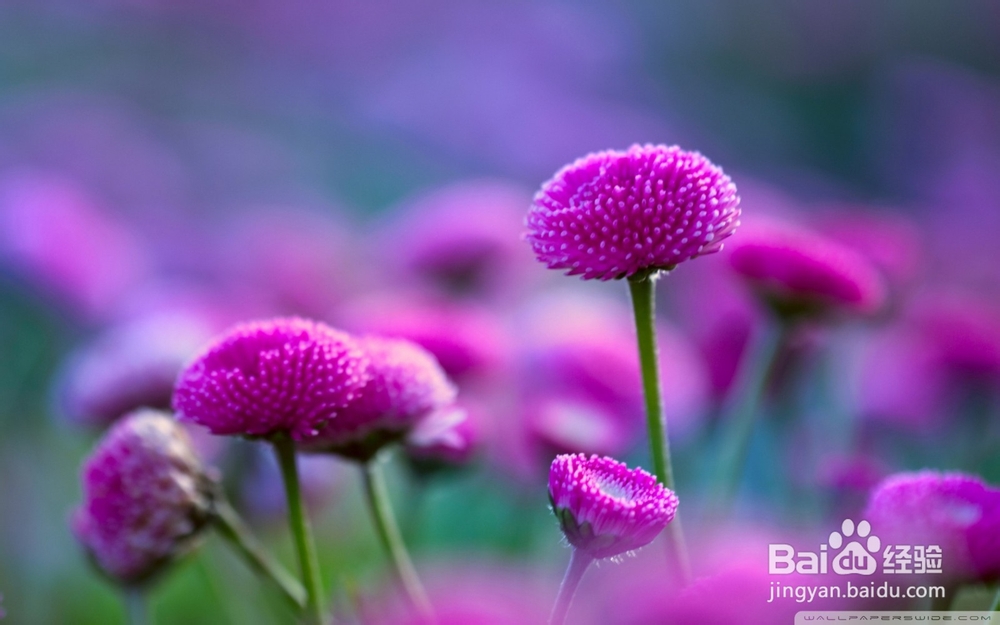 人活着为了什么