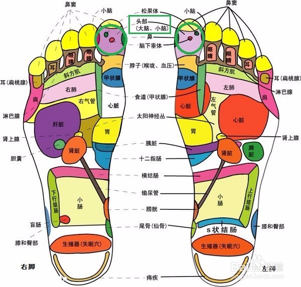 声音嘶哑,怎么办