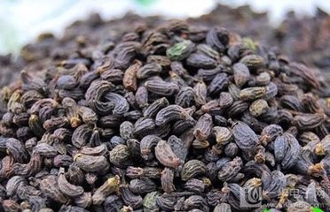 自制二至丸的做法