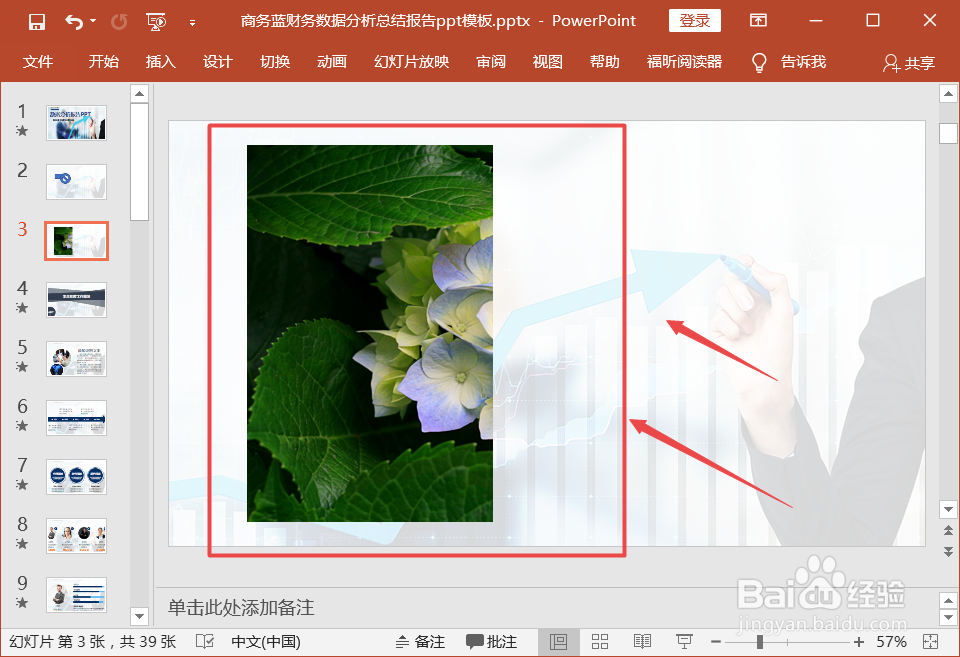 ppt中怎么裁剪图片