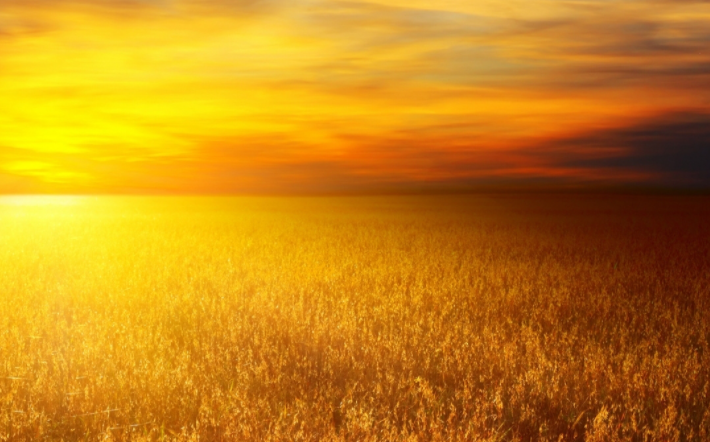 机械租赁发生的费用记入什么科目