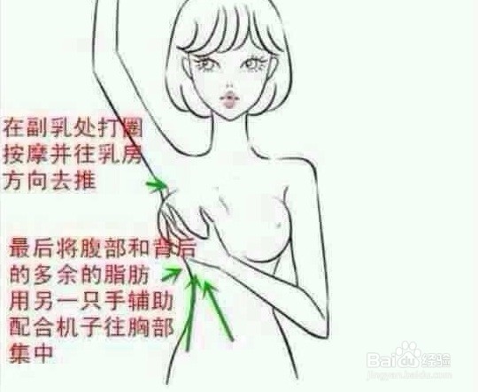 相见恨晚的美容丰胸养生小妙招