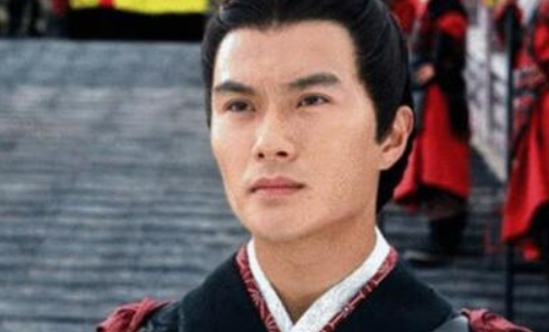 历史卫青与平阳公主有几个孩子