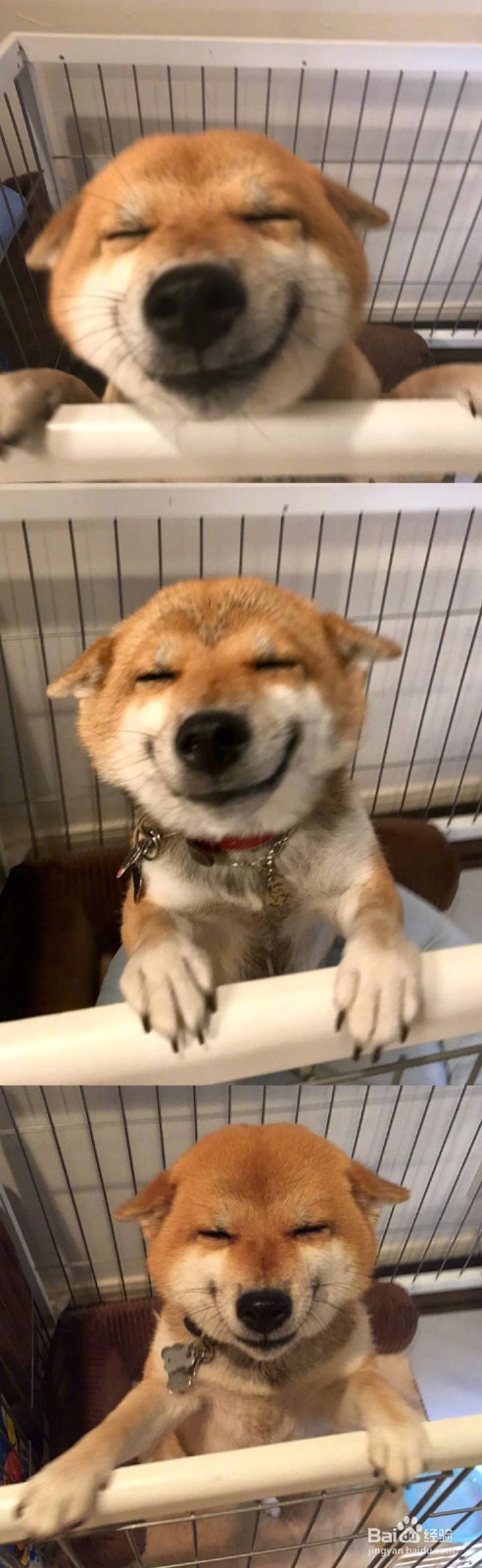 面对厄运怎么办