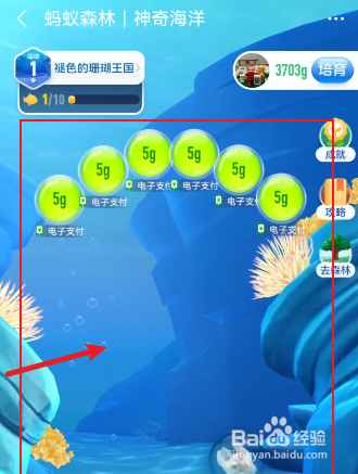 支付宝如何进入神奇海洋