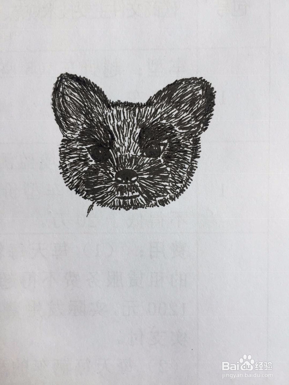 dxdll手绘之雪纳瑞犬