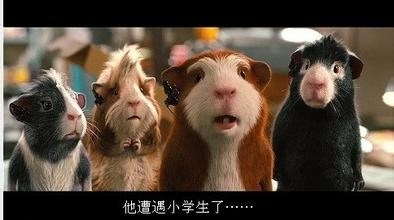 英雄联盟如何鉴别哪些是小学生