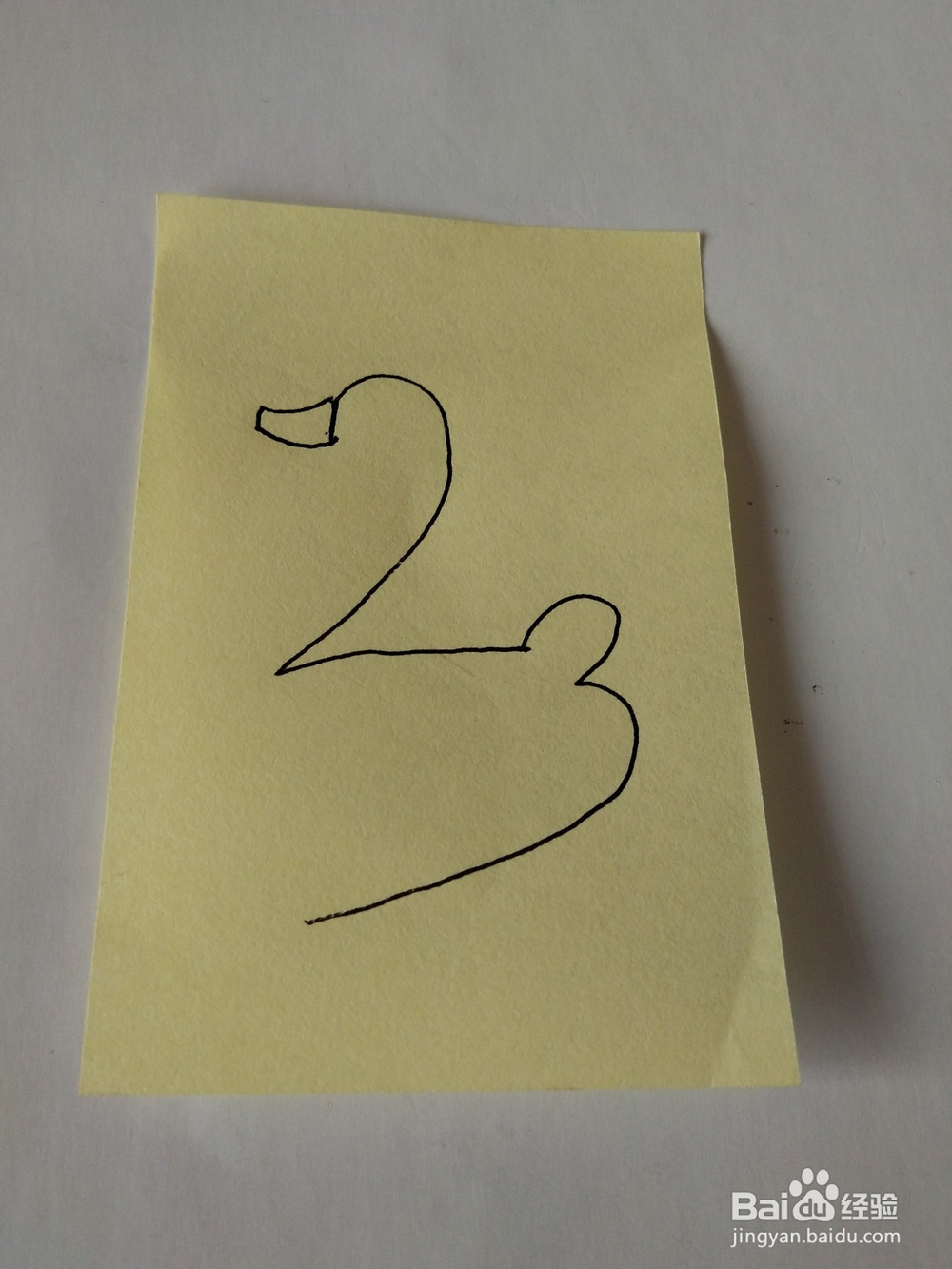 天鹅的简笔画这样画