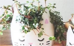 用瓶子做花盆的方法