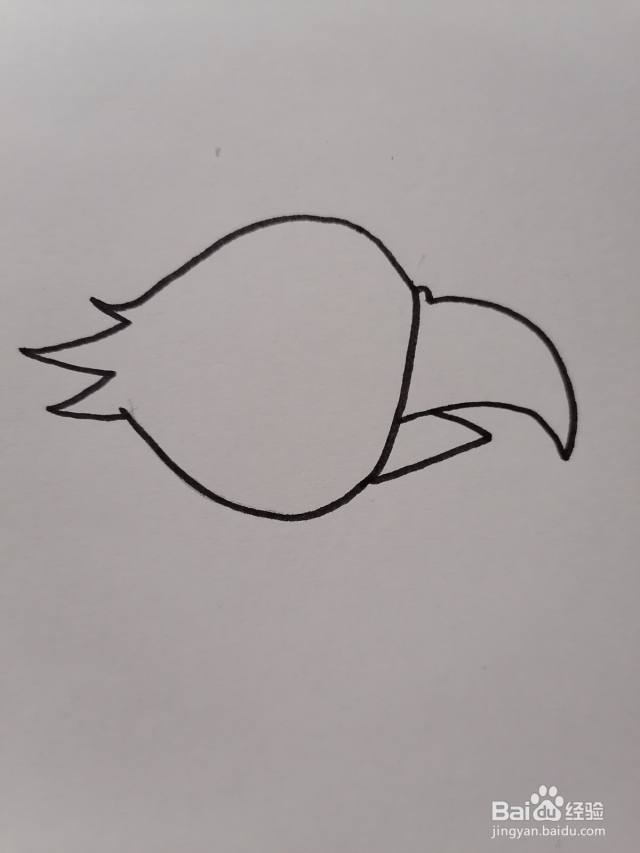 小鹦鹉怎么画（小鹦鹉怎么画?）