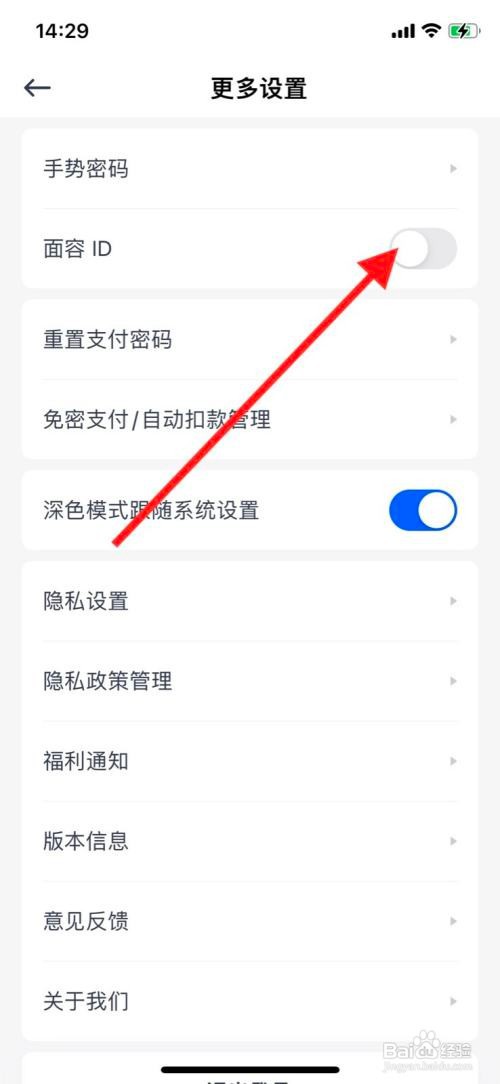 苹果手机天星金融如何打开面容ID
