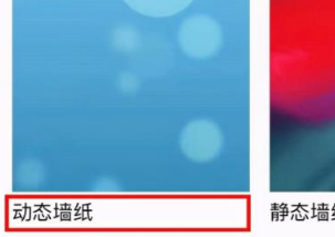 苹果15如何设置动态壁纸