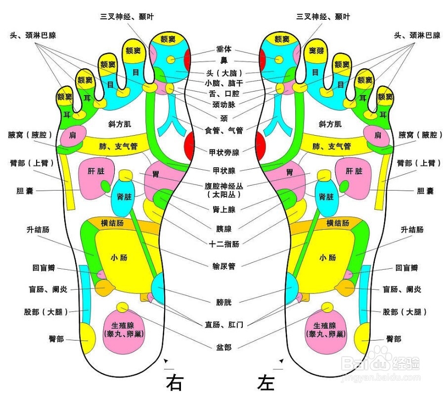 如何按摩脚底穴位呢?