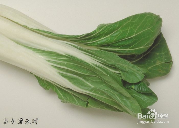 大白菜的营养与健康
