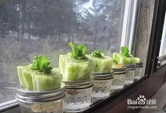有哪些过时的生活常识