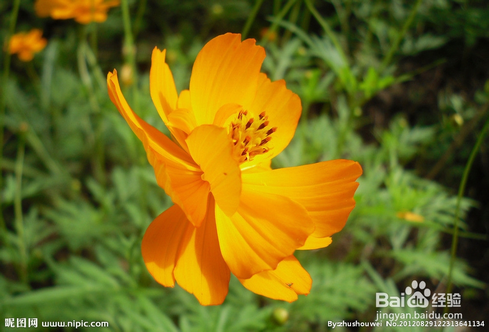 提高初二数学要从基础入手