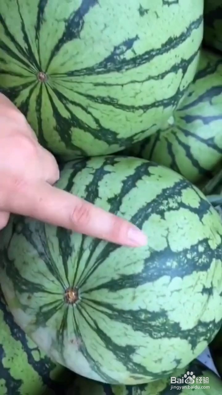 如何挑选西瓜