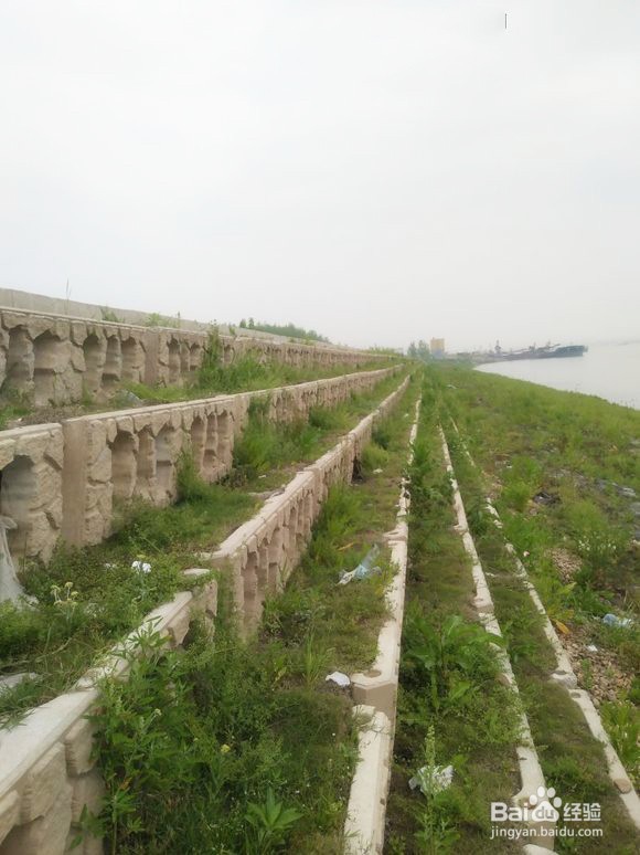 河道生态护坡框河堤边坡选中力通新材