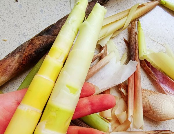 鲜笋青豆松茸汤