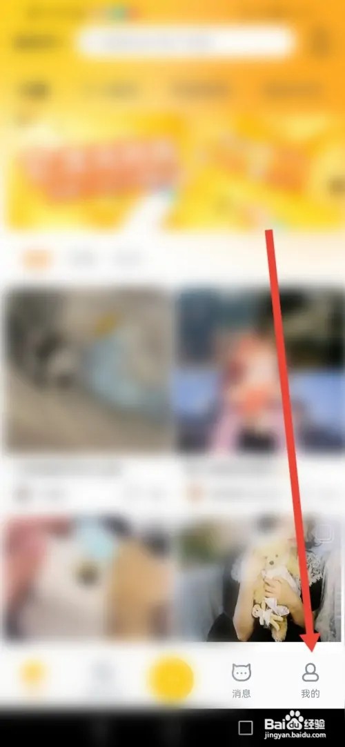 如何在宠胖胖发布动态