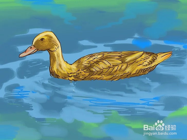 如何照顾小鸭子