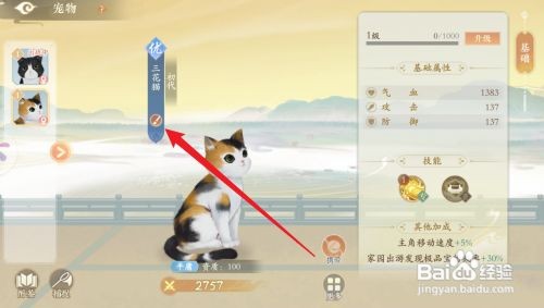 凌云诺怎么给宠物换名字