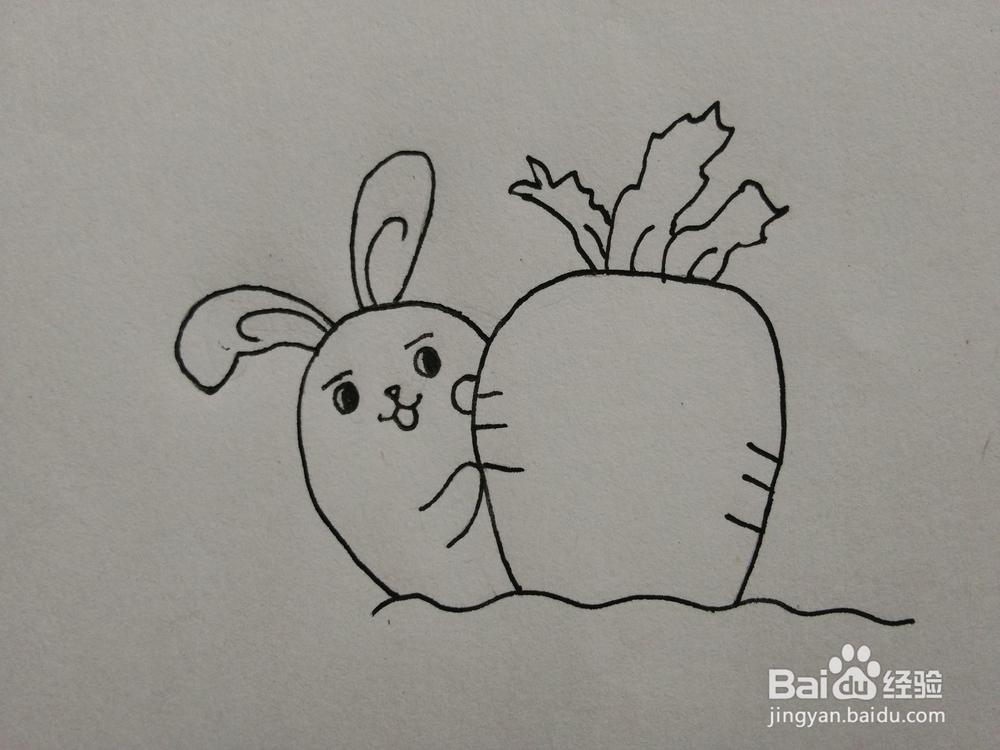 简笔画——怎么画小兔子和胡萝卜