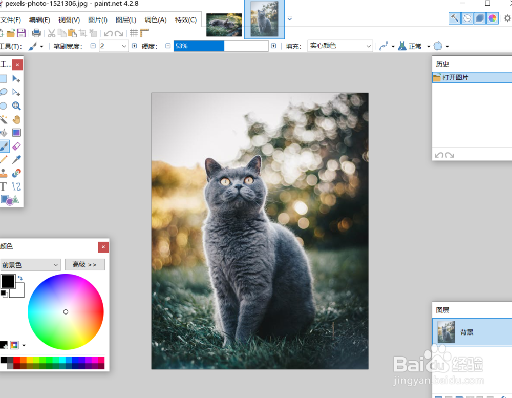 怎么调整paintnet的系统颜色模式