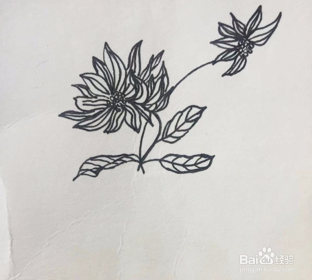 茉莉手绘之花瓶里的鲜花