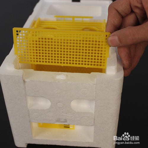 如何用泡沫制作蜂箱