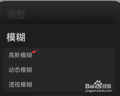 procreate高斯模糊怎样设置