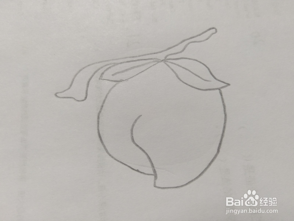 简笔画桃子画法7
