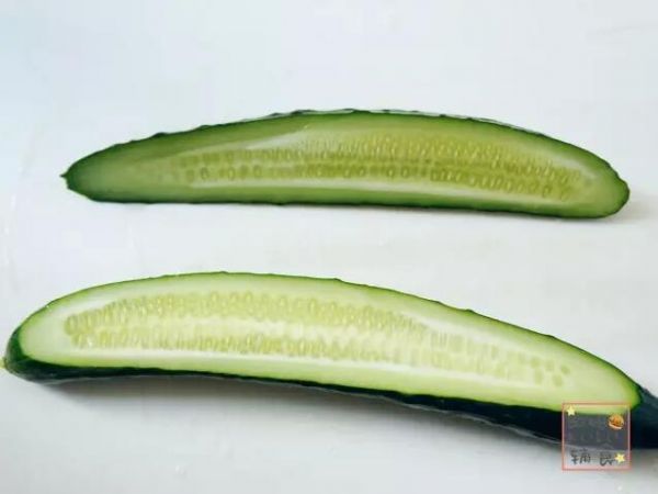青瓜三文鱼饭卷