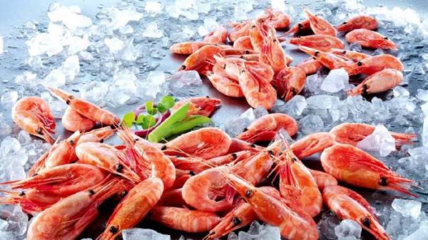 拯救食欲豪华加拿大北极虾冬阴功