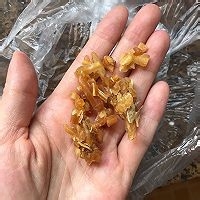 如何做西洋参天冬川贝炖鹧鹄