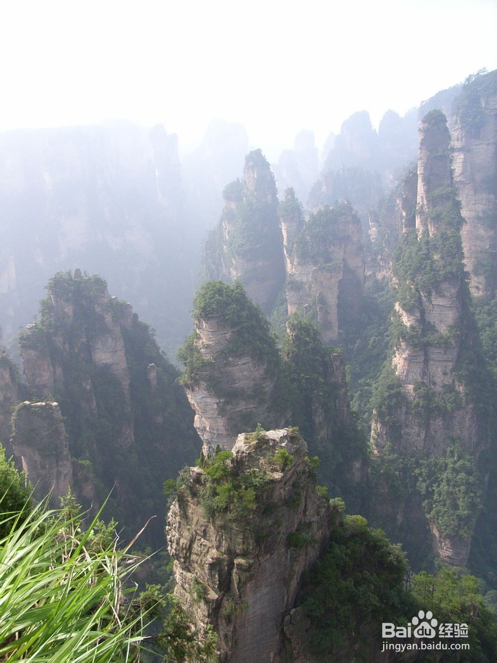 中山到张家界旅游攻略