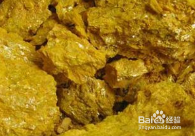 家里发现蛇皮怎么处理