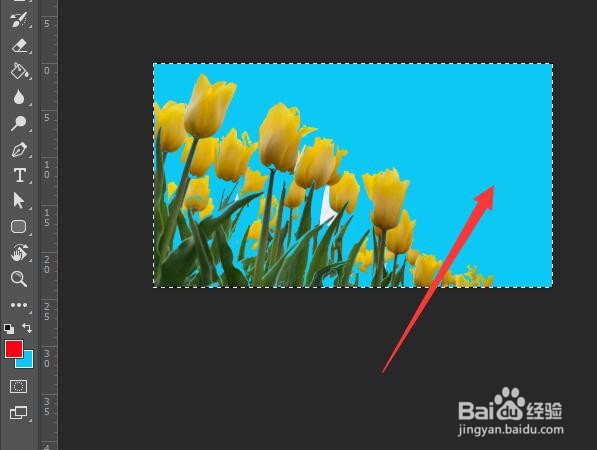 ps如何填充背景