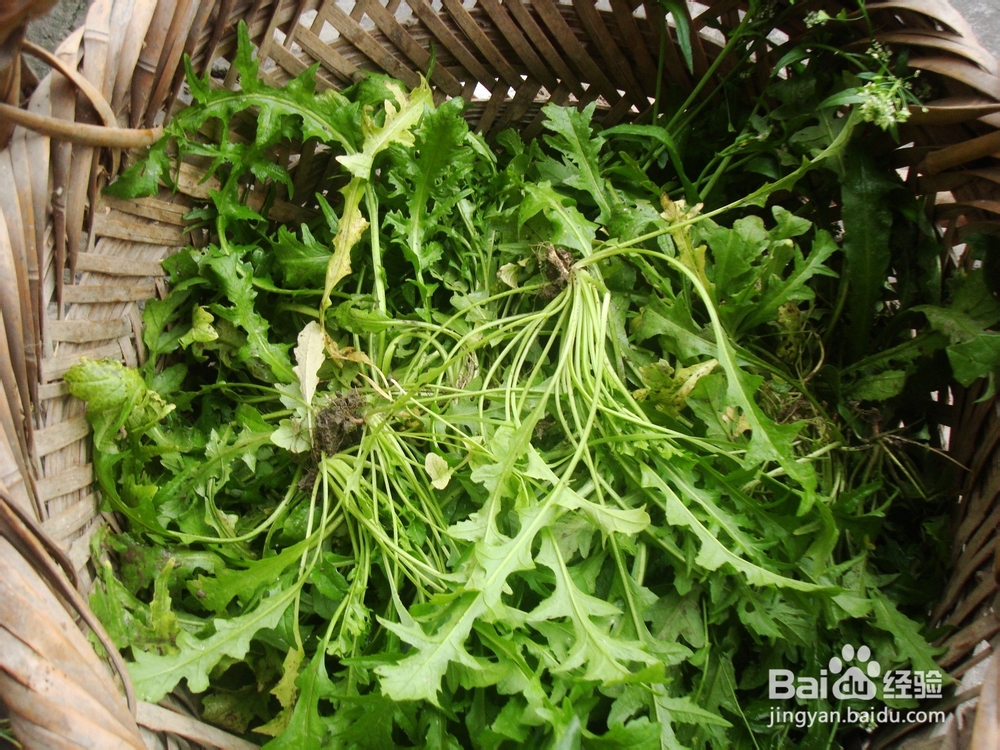 养生汤－女人最爱的素汤