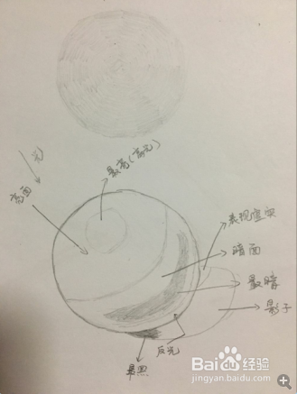 自学素描如何画圆