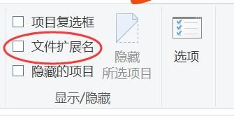 如何设置查看文件扩展名